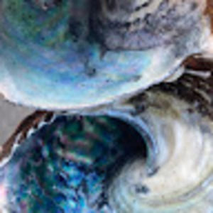 Meet your Posher, Star